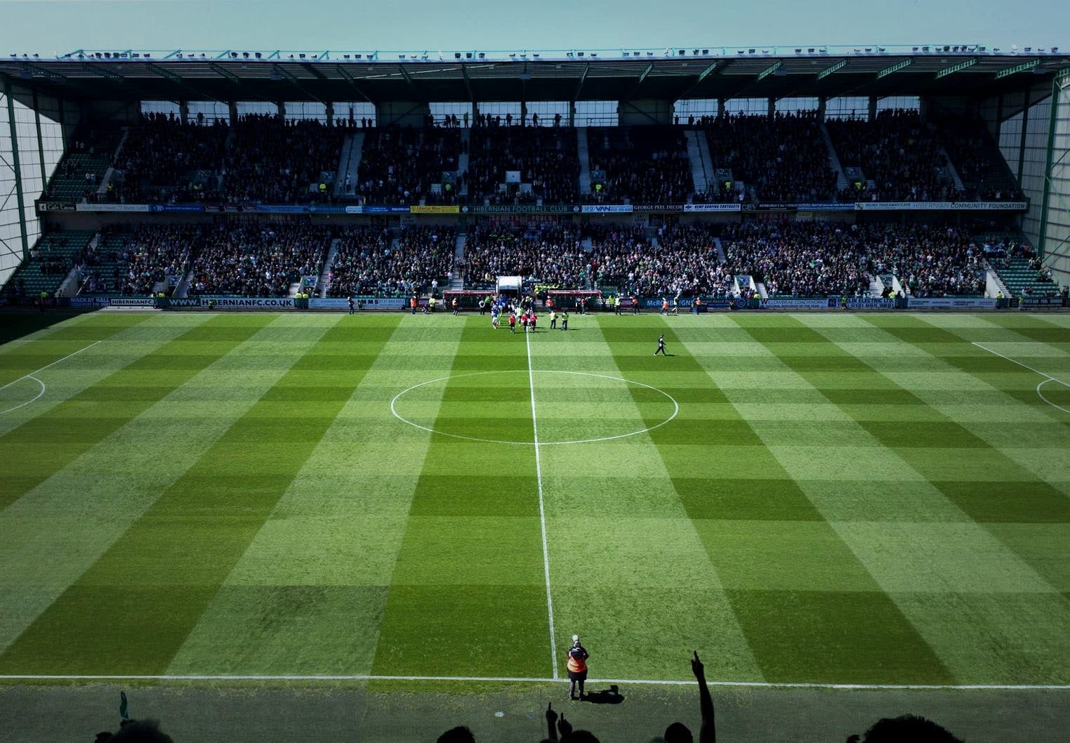 Hibernian